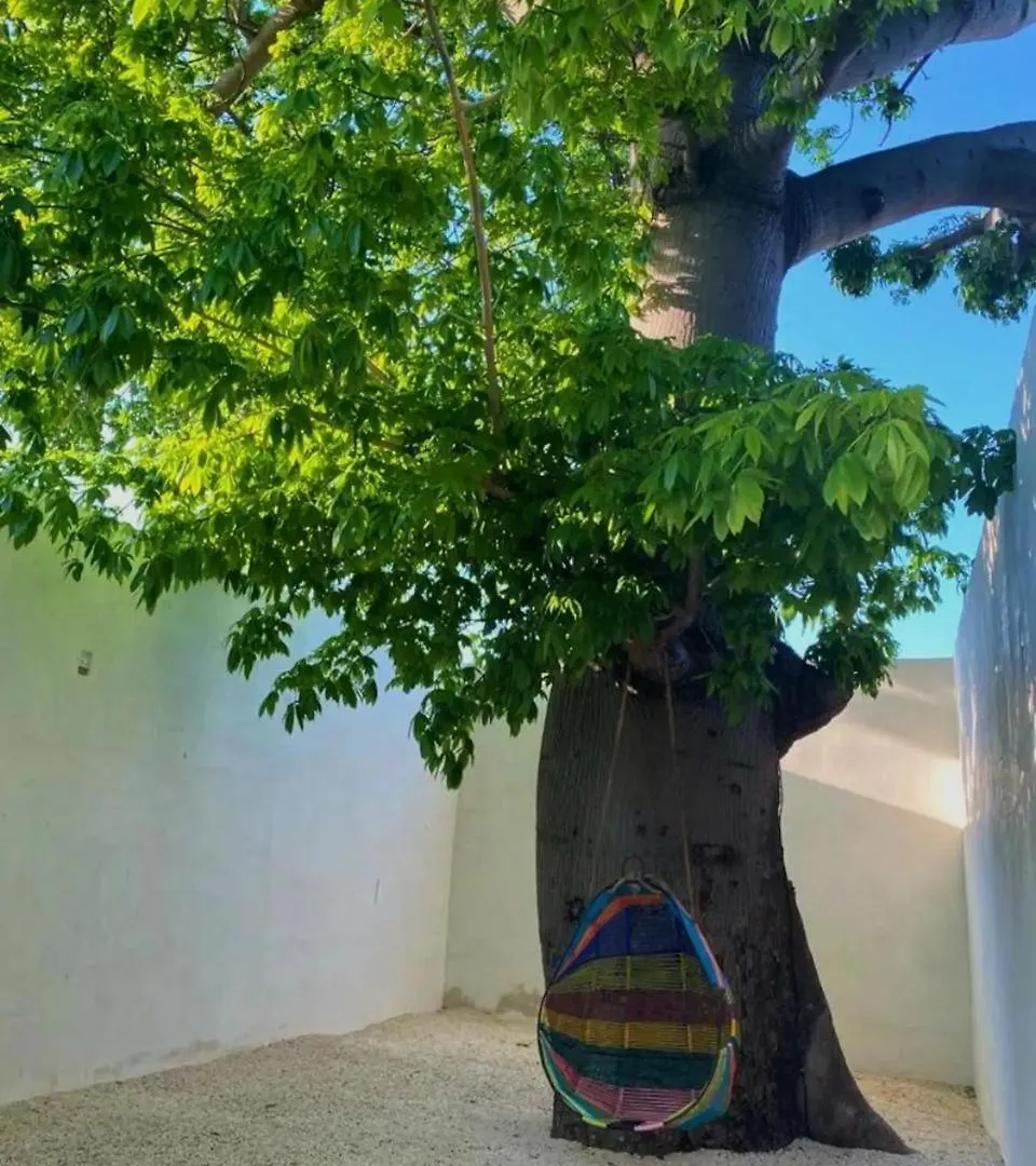 Cuarto Ceiba Apartment Merida Mexico